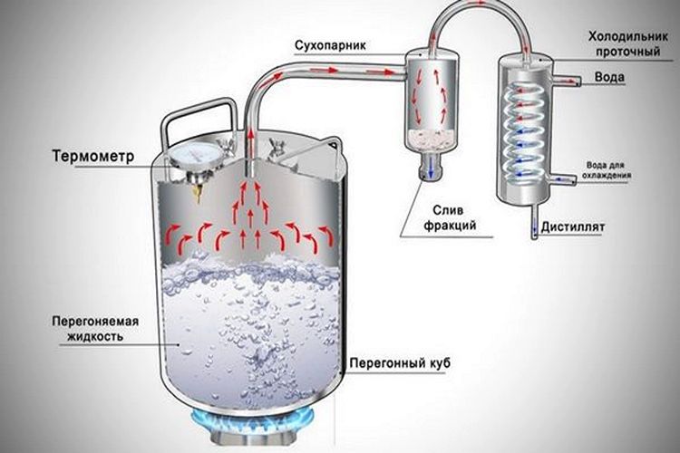 сухопарник нужен для очистки дистиллята