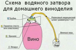 схема гидрозатвора для вина